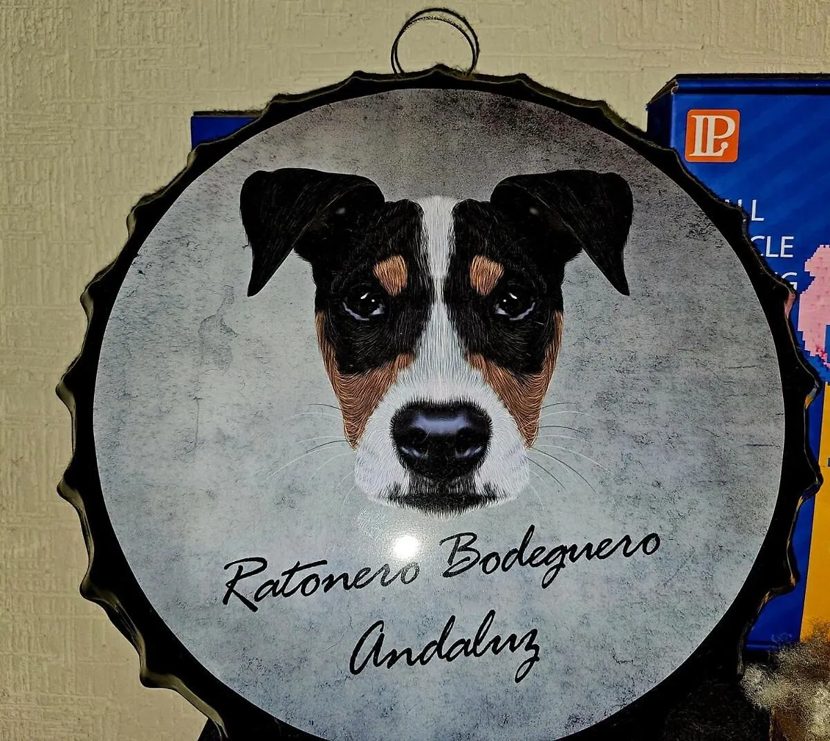 El Rincon Pet Friendly Lägenhet Cancún 0*,